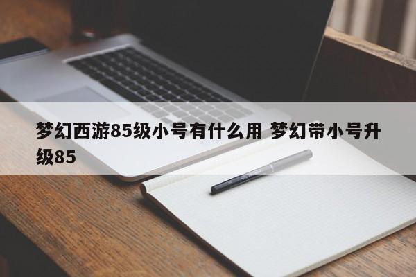 梦幻西游85级小号有什么用 梦幻带小号升级85